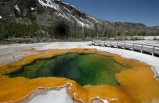 Recorrido de 1 D&iacute;a al Parque Nacional de Yellowstone
